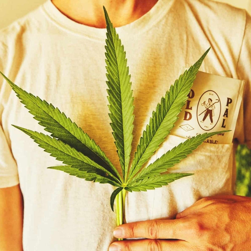 Various Types of THC